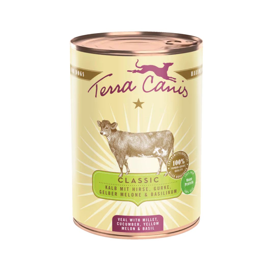 Terra Canis Classic - Lachs mit Hirse, Pfirsich & Kräutern | 6 x 800 g