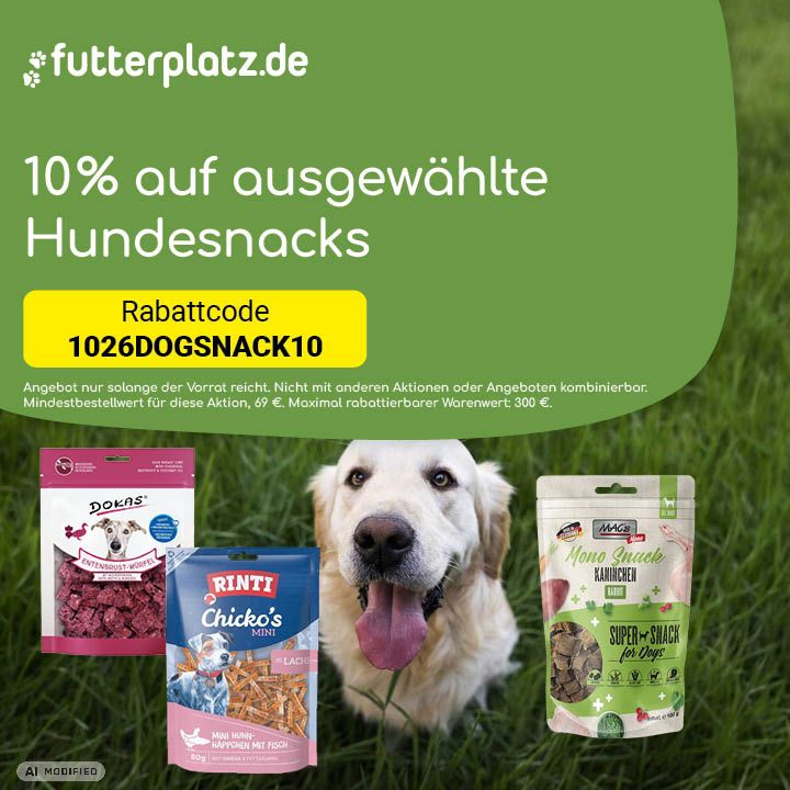 Sliderbild-6