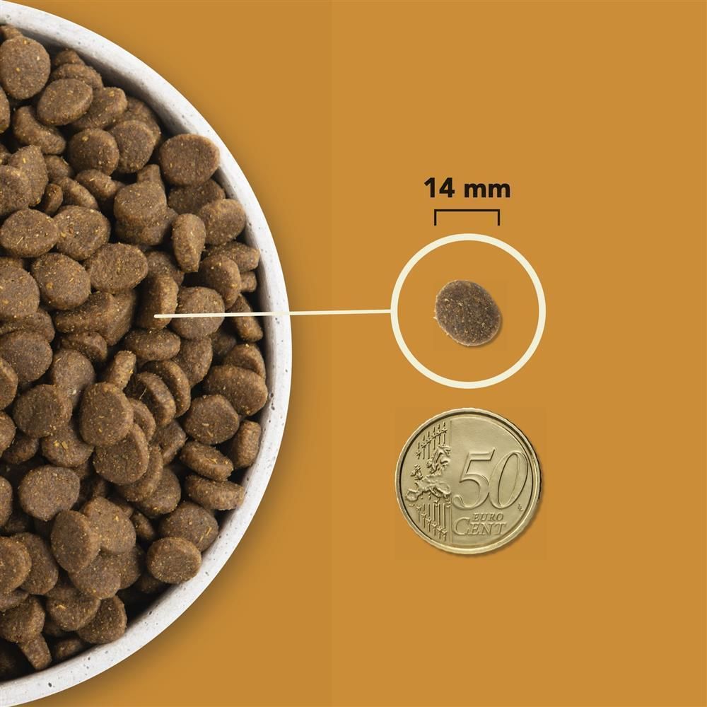 Acana Dog Wild Prairie | 6 kg