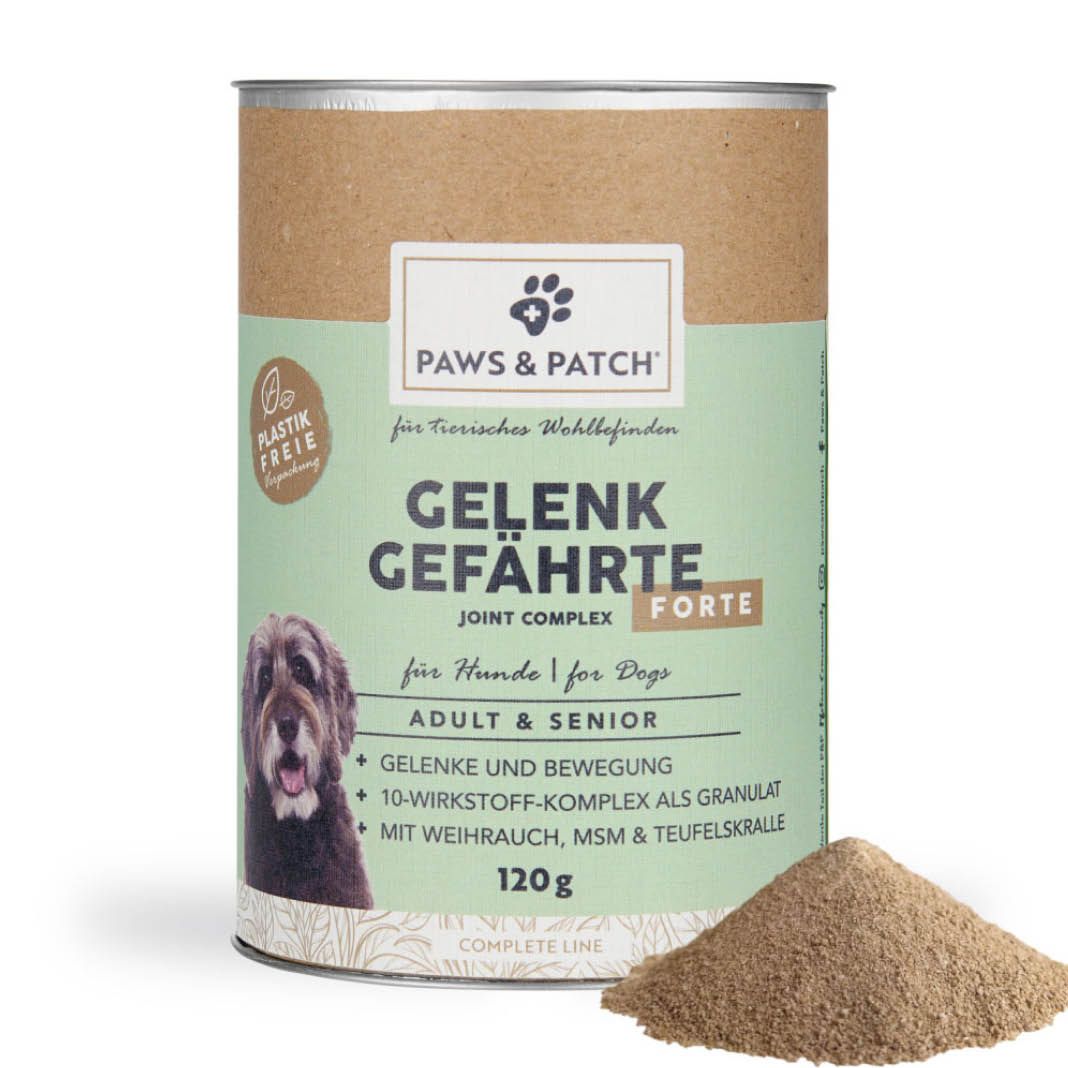 Paws & Patch GELENK GEFÄHRTE FORTE für Hunde Adult & Senior | 120 g