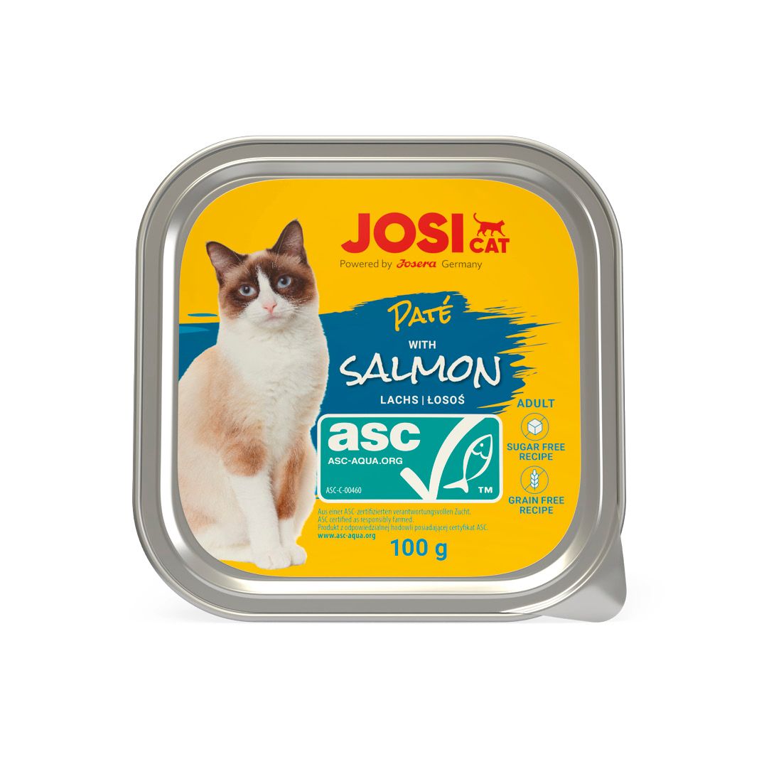 Josera JosiCat Paté with ASC Salmon | 32 x 100 g