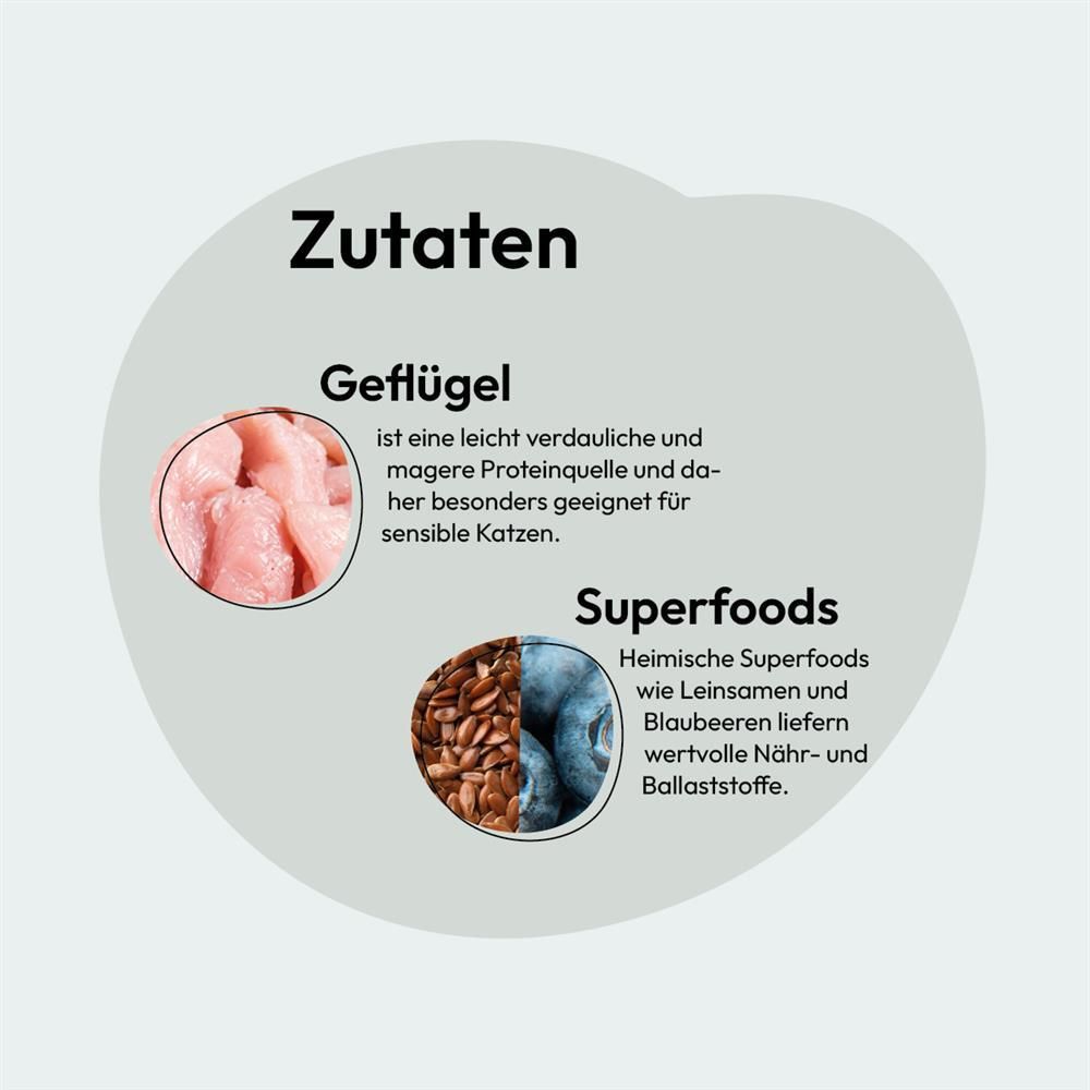 Grau Katze KITTEN Geflügel mit Superfoods | 2 kg