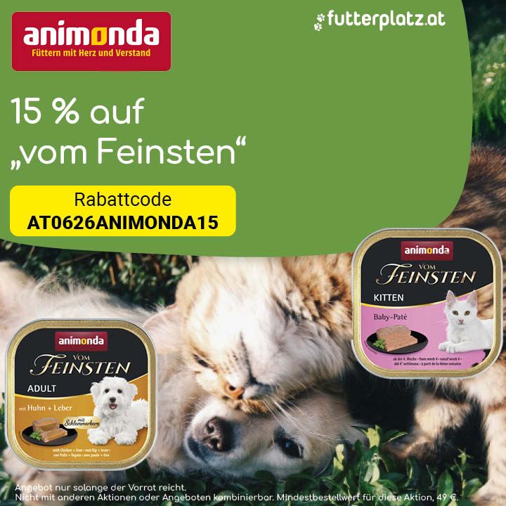 Sliderbild-4
