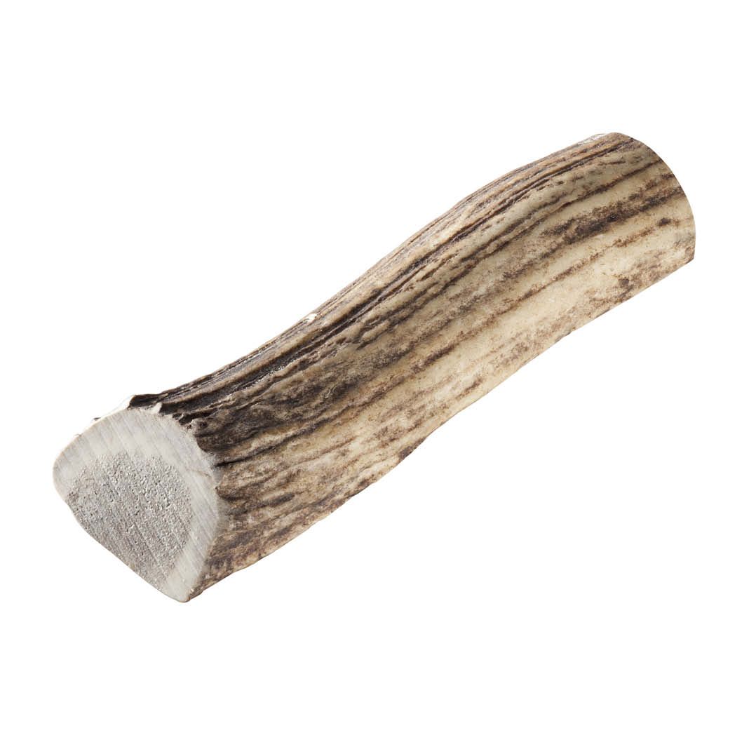 Chewies Rothirsch-Geweihstange, halb | Größe L