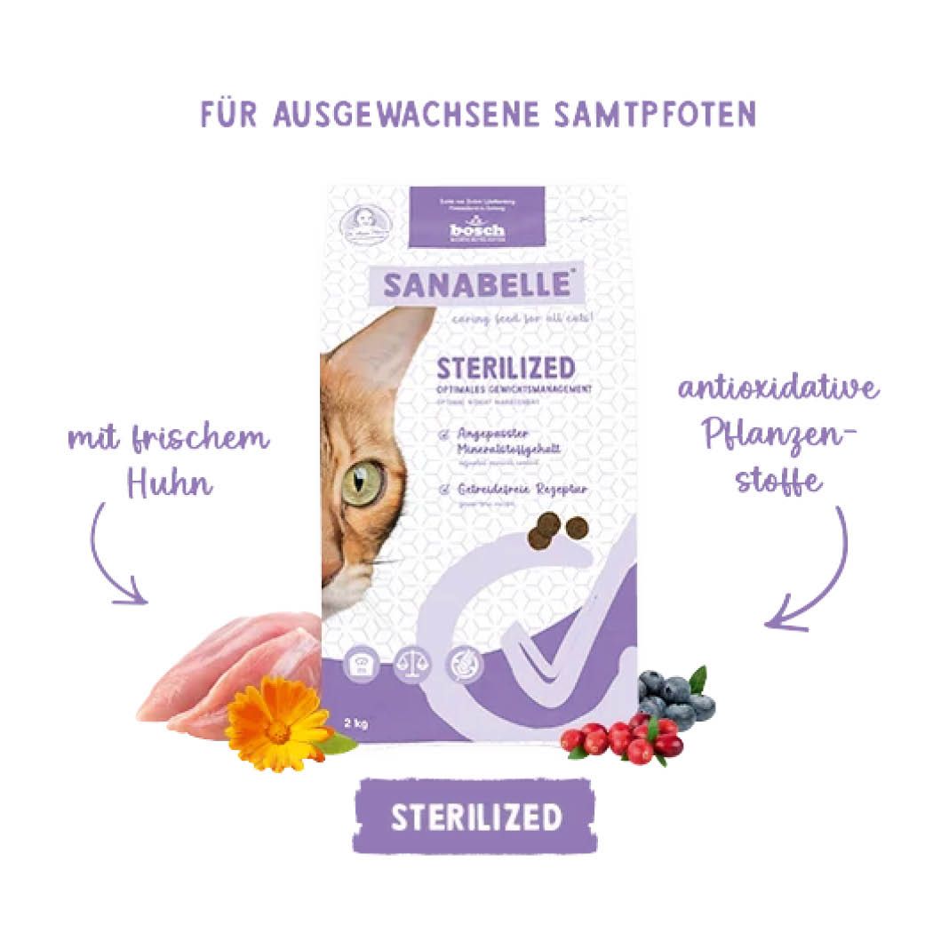 Sanabelle Sterilized