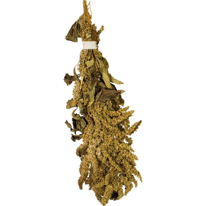 JR Birds Amaranth | 10 x 30 g