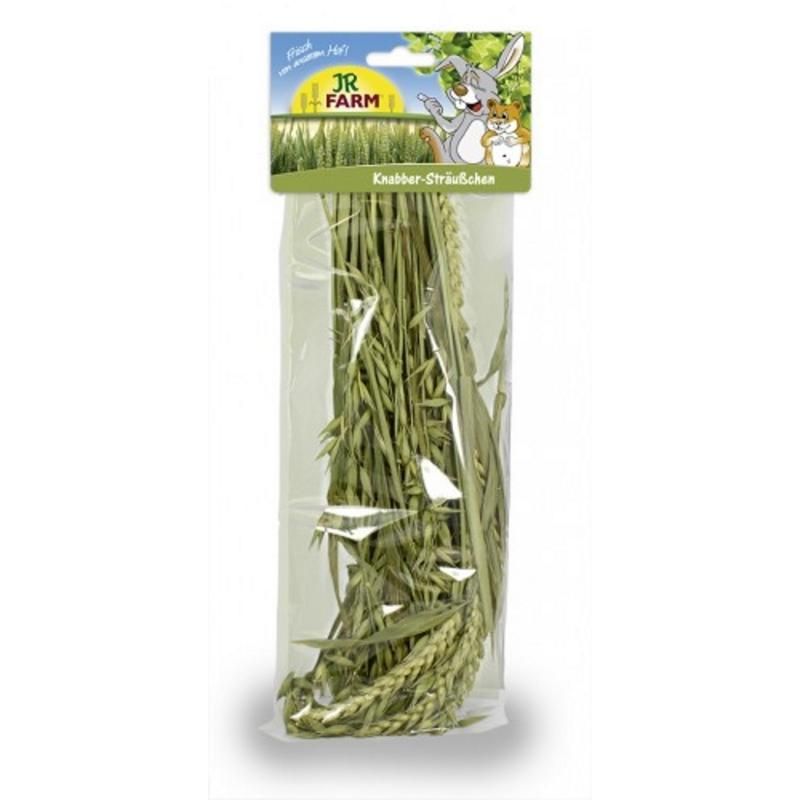 JR Farm Knabber-Sträußchen | 12 x 25 g