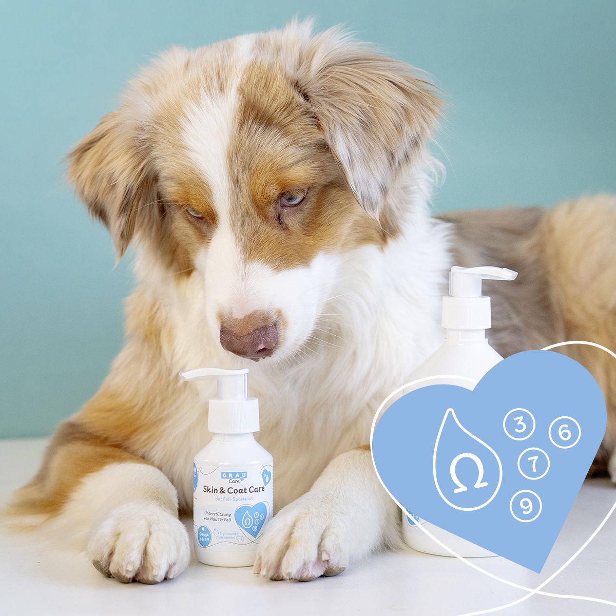 Grau Hund & Katze Hokamix Skin & Shine | 250 ml