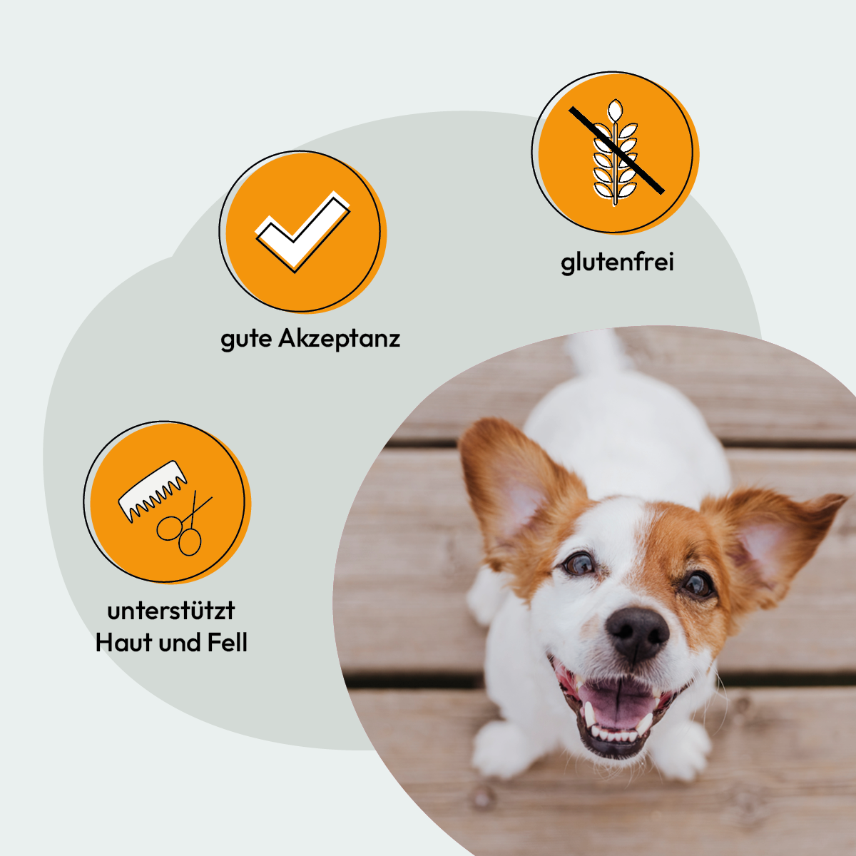 Grau Hund Geflügel | 2 x 12 kg