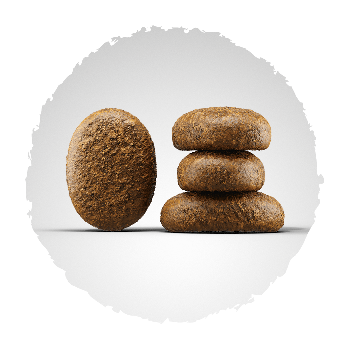 Josera Optiness | 4,5 kg (5 x 900 g)