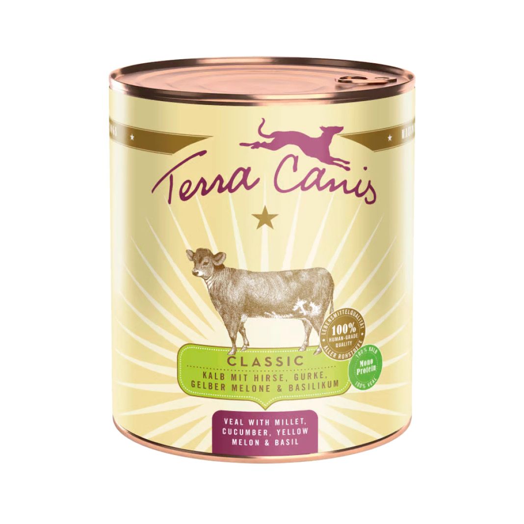 Terra Canis Classic - Lachs mit Hirse, Pfirsich & Kräutern | 6 x 800 g