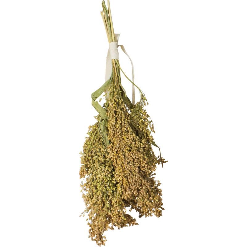 JR Birds Rispenhirse | 100 g