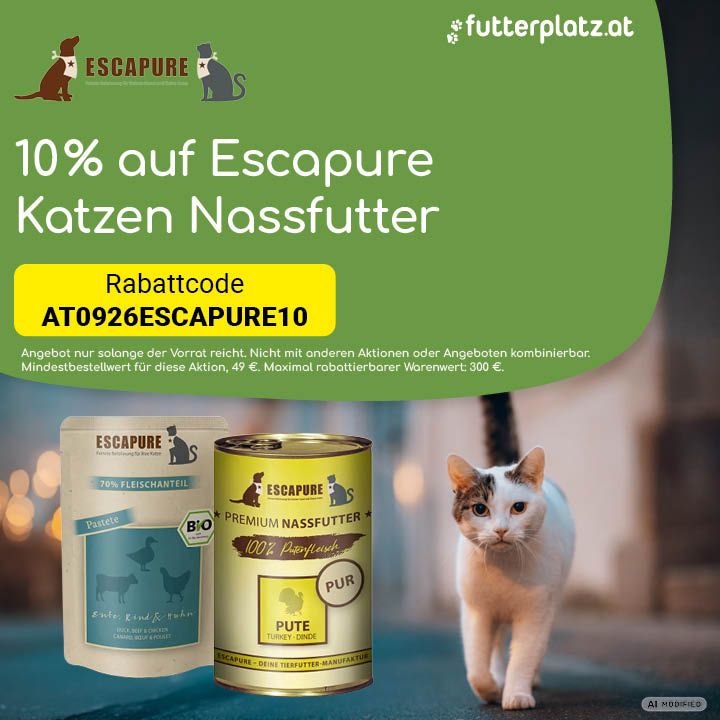 Sliderbild-2