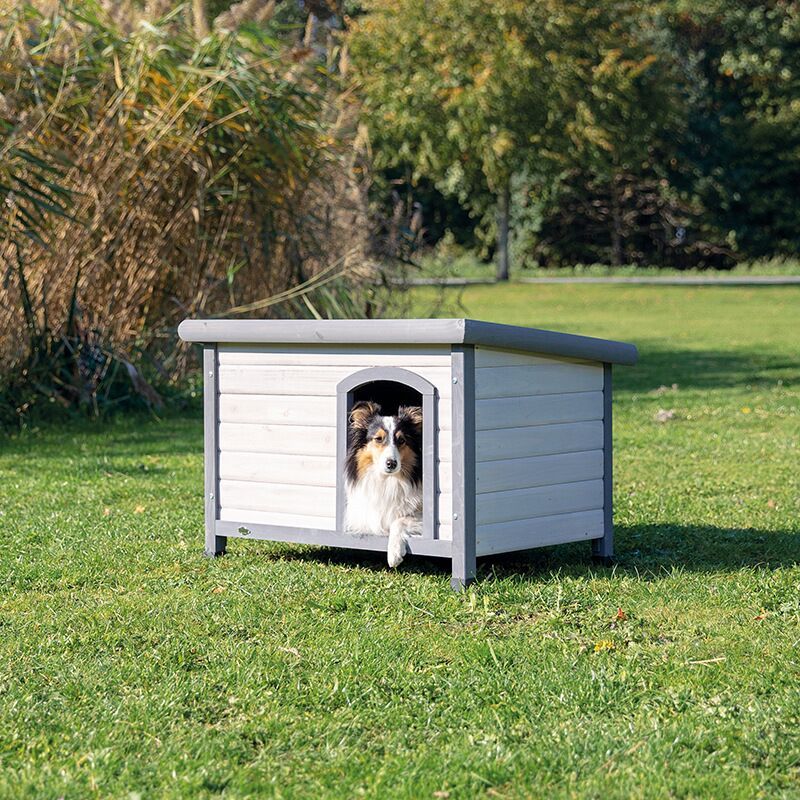 Chadog Natura Hundehütte Classic Mit Flachdach S M: 85 58 60Cm Grau 4047974395615 - Image 4