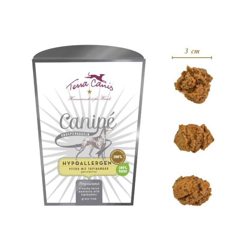 Terra Canis Canipé Hypoallergen Pferd mit Topinambur | 200 g