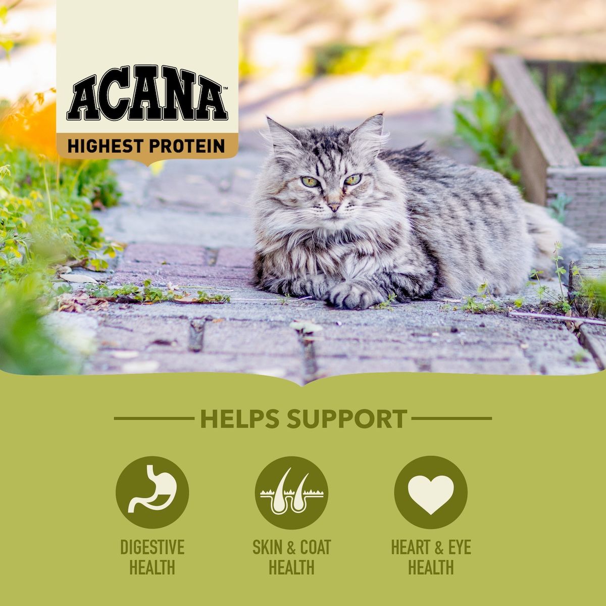 Acana Cat Grasslands | 340 g