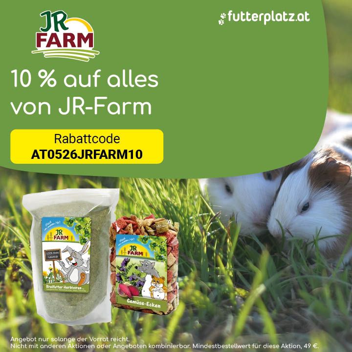 Sliderbild-4
