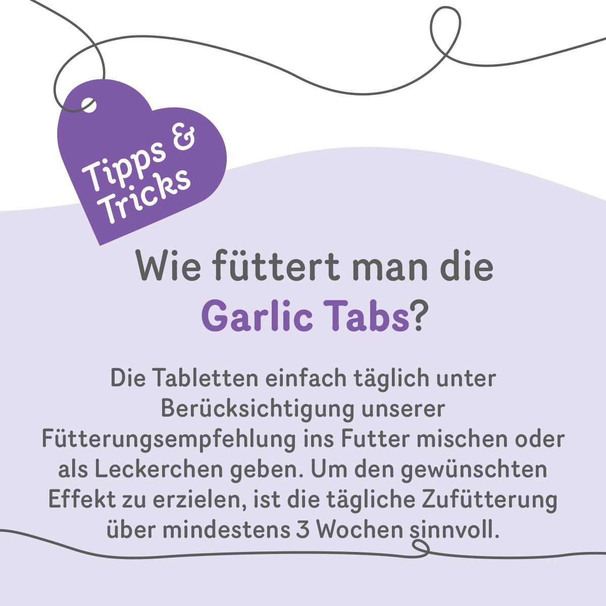 Grau Hund & Katze Knoblauch Tabletten | 200 Stück