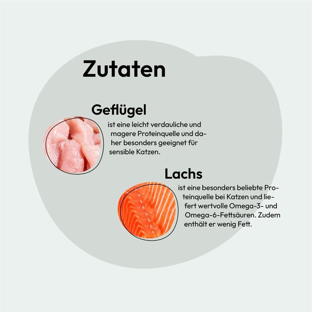 Grau Katze Geflügel & Lachs mit Superfoods | 2 kg