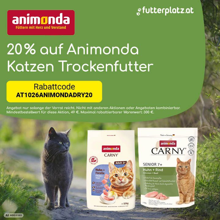 Sliderbild-3