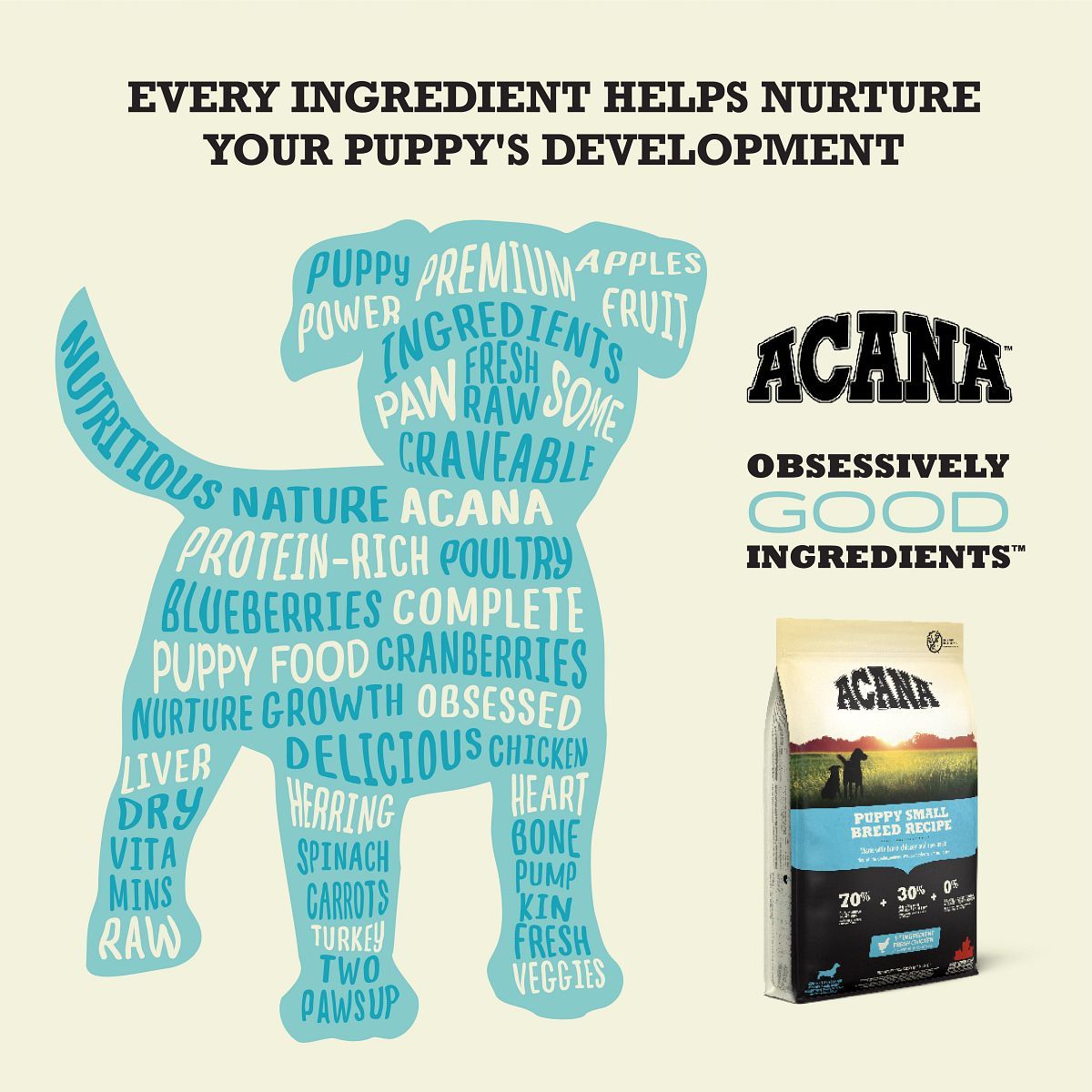 Acana Dog Puppy Small Breed Recipe | 2 kg