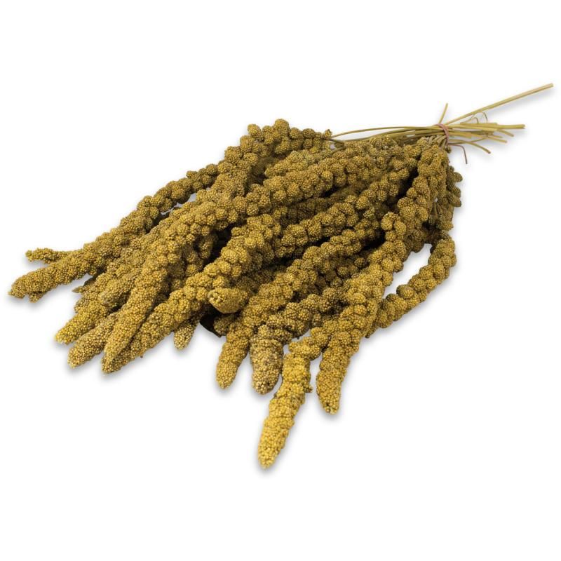 JR Birds Kolbenhirse gelb | 12 x 1 kg