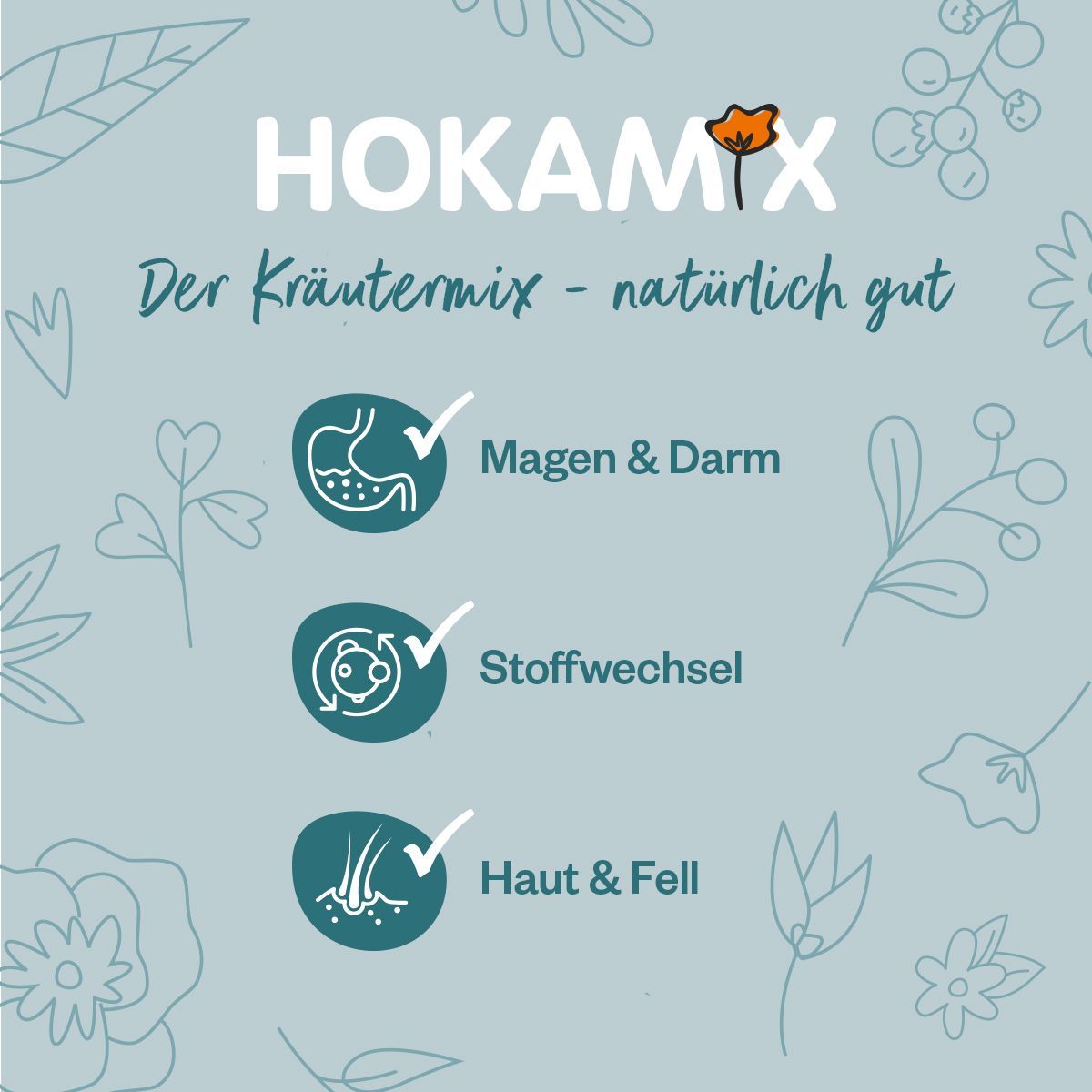 Grau Hund Hokamix30 Classic Pulver | 150 g