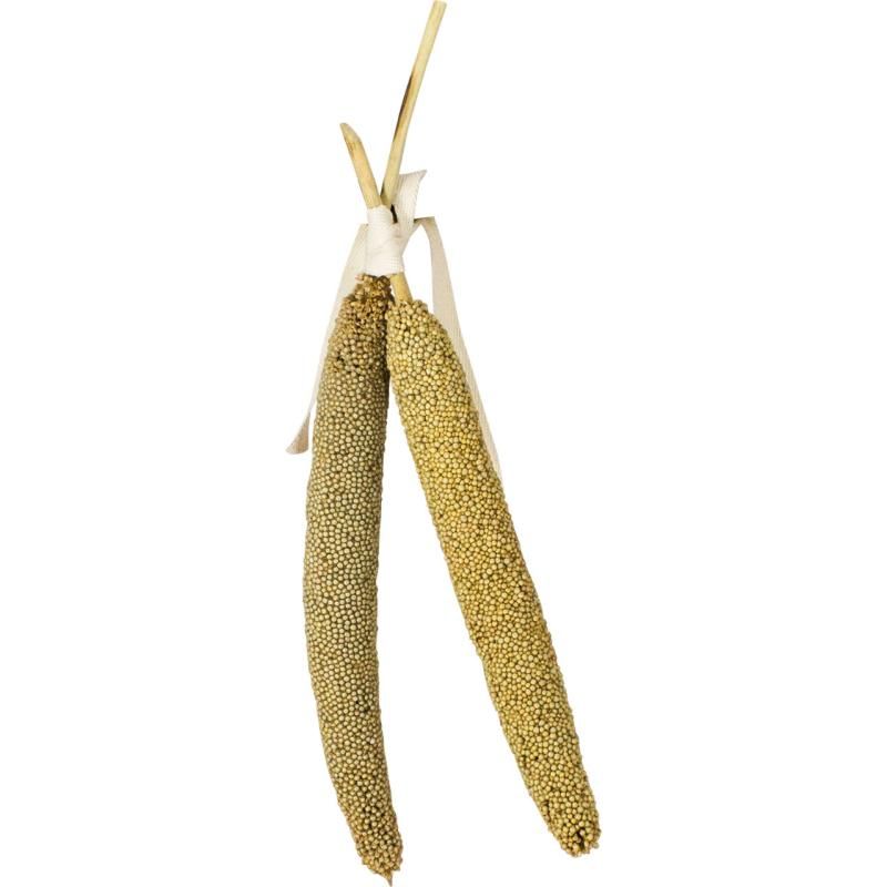 JR Birds Perlhirse | 8 x 40 g