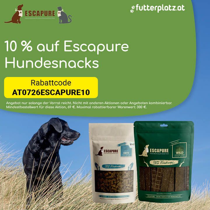 Sliderbild-4
