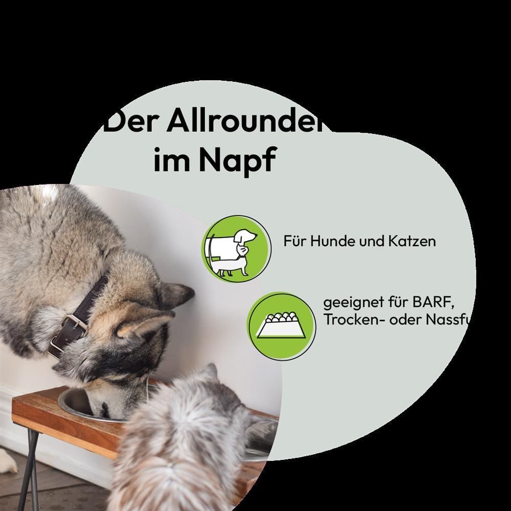 Grau Hund & Katze Bierhefe | 500 g