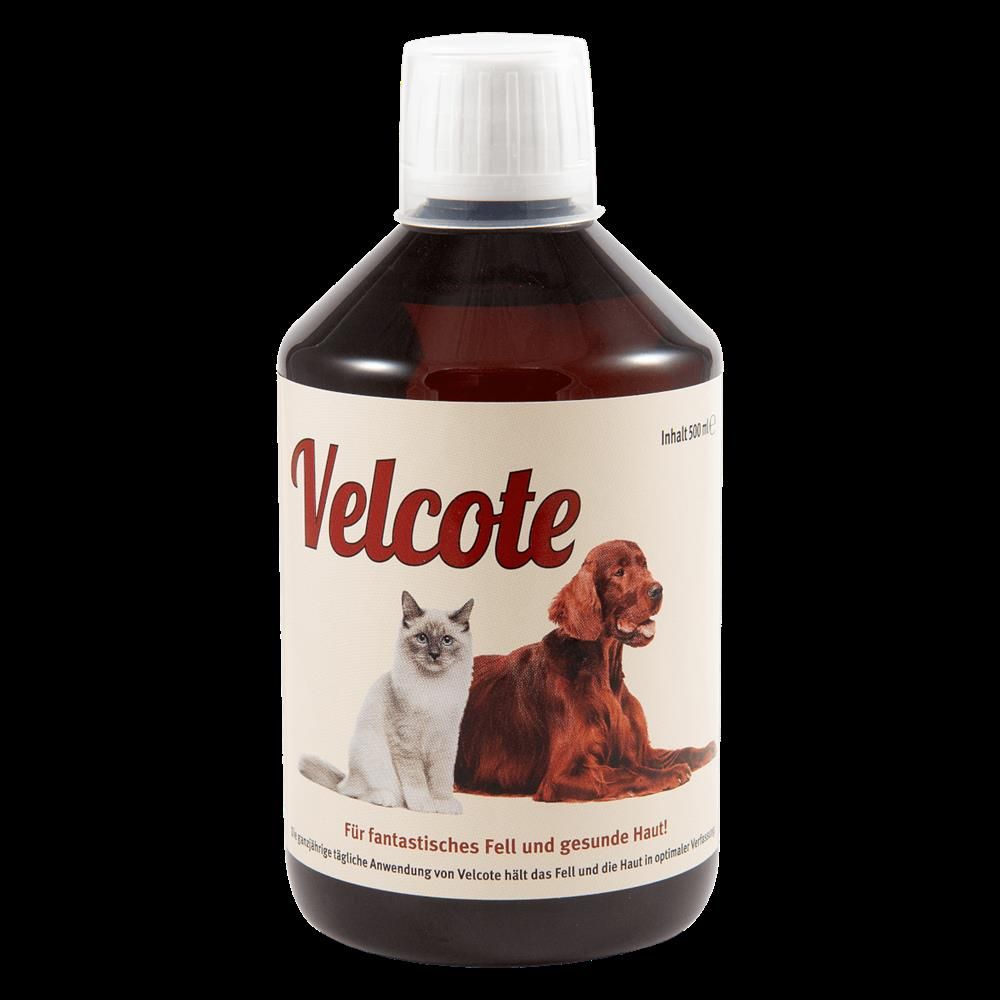 Grau Hund & Katze Velcote