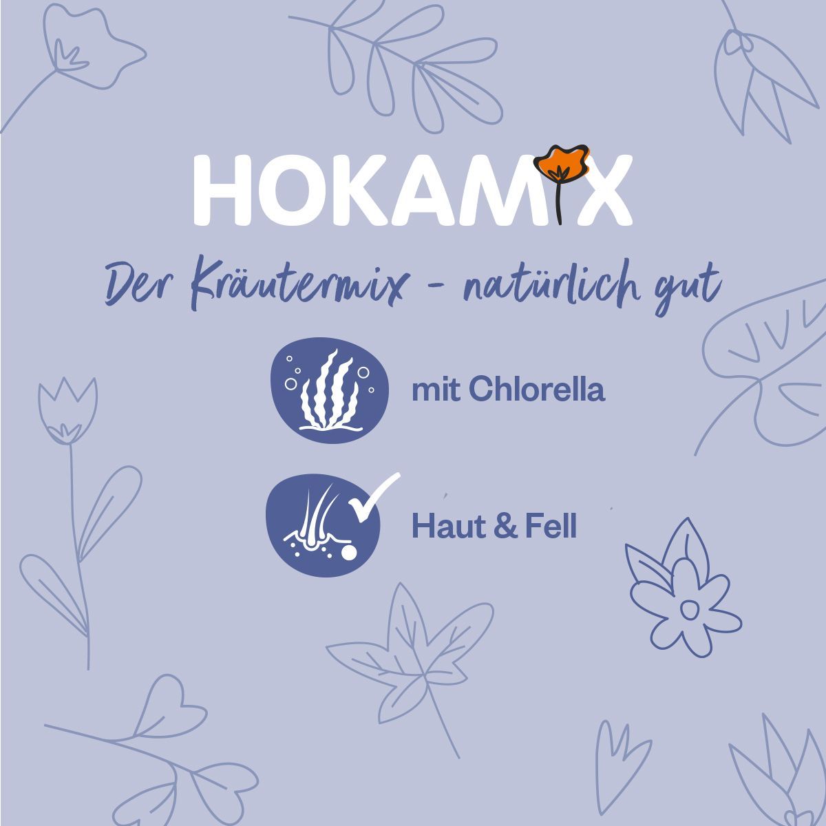 Grau Hund Hokamix30-Derma | 350 g