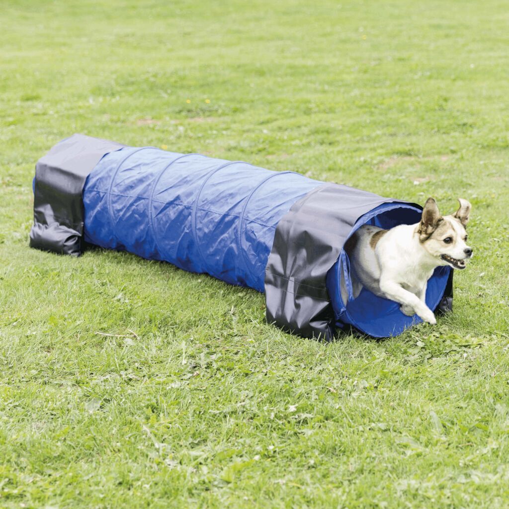 TRIXIE Fun Agility Mini Tunnel, blau, 2m | ø 40 cm