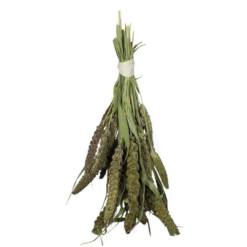 JR Birds Grüne Senegalhirse | 8 x 50 g