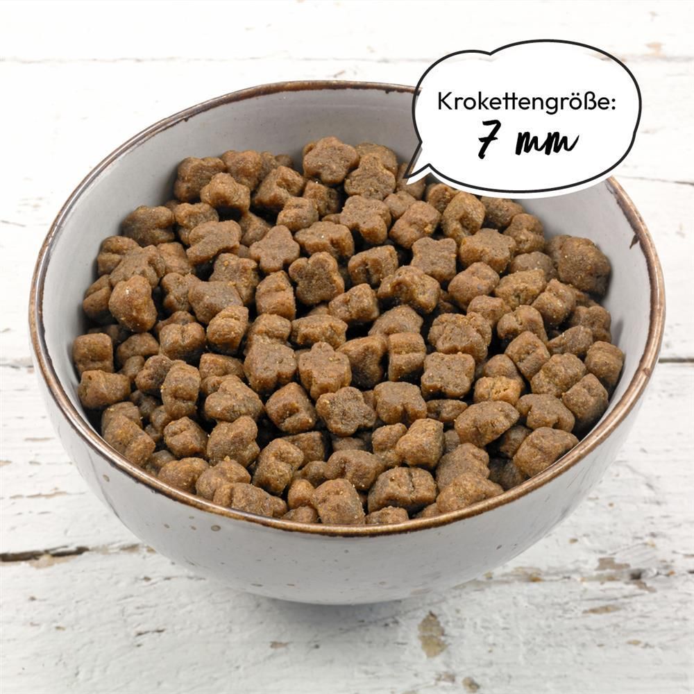 Grau Katze KITTEN Geflügel mit Superfoods | 2 kg