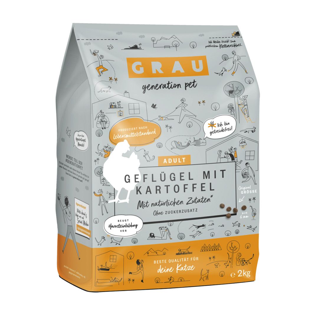 Grau Katze Geflügel mit Kartoffel