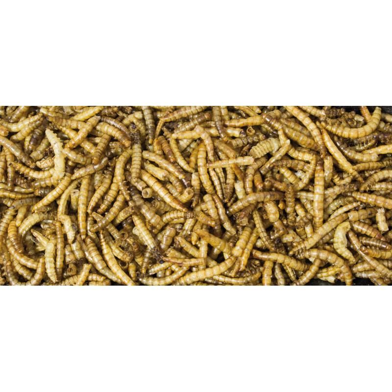 JR Garden Wildvogel Mehlwürmer Eimer | 2 x 400 g