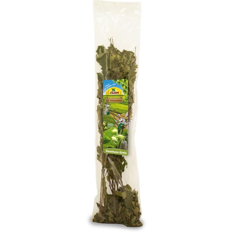 JR Farm ESN Haselnuss-Ernte | 10 x 40 g
