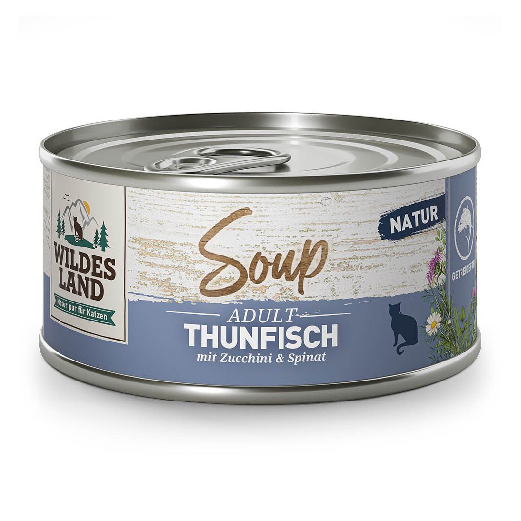 Wildes Land Cat - Soup