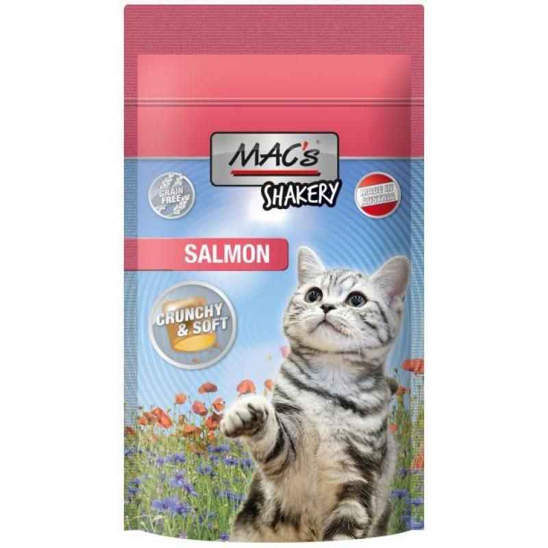Salmon cat cheap