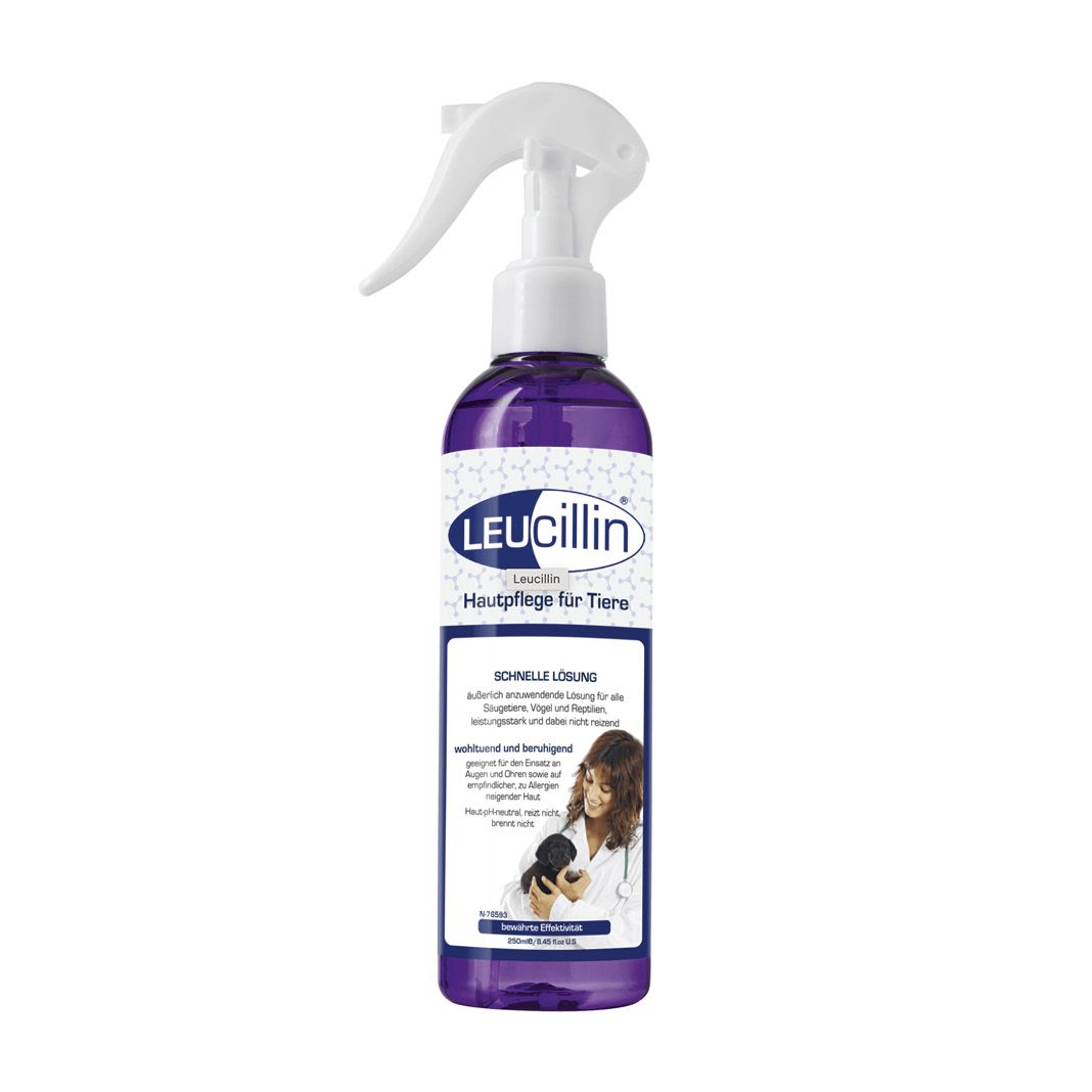 Grau Hund & Katze Leucillin Spray