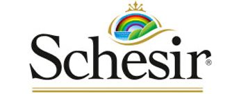 Schesir