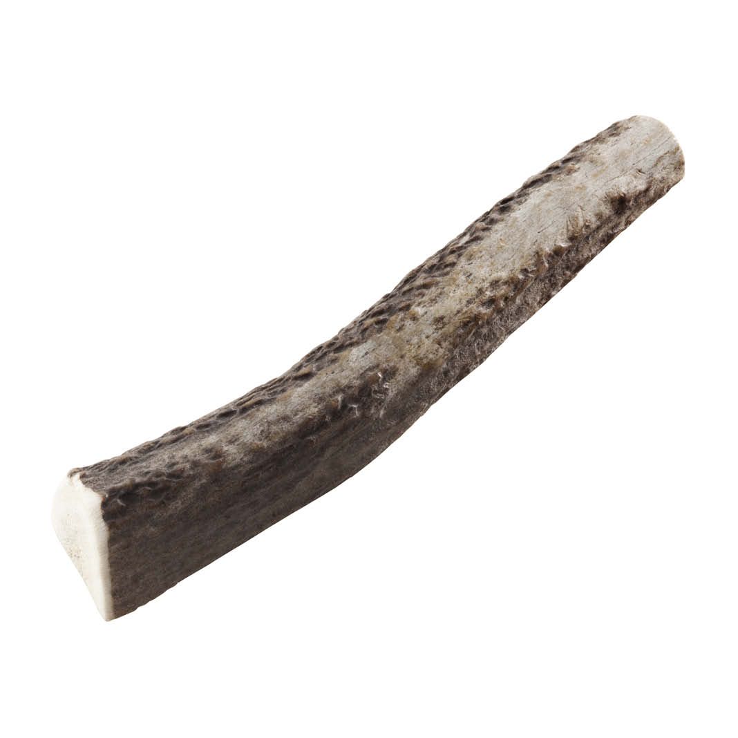 Chewies Rothirsch-Geweihstange, halb | Größe S