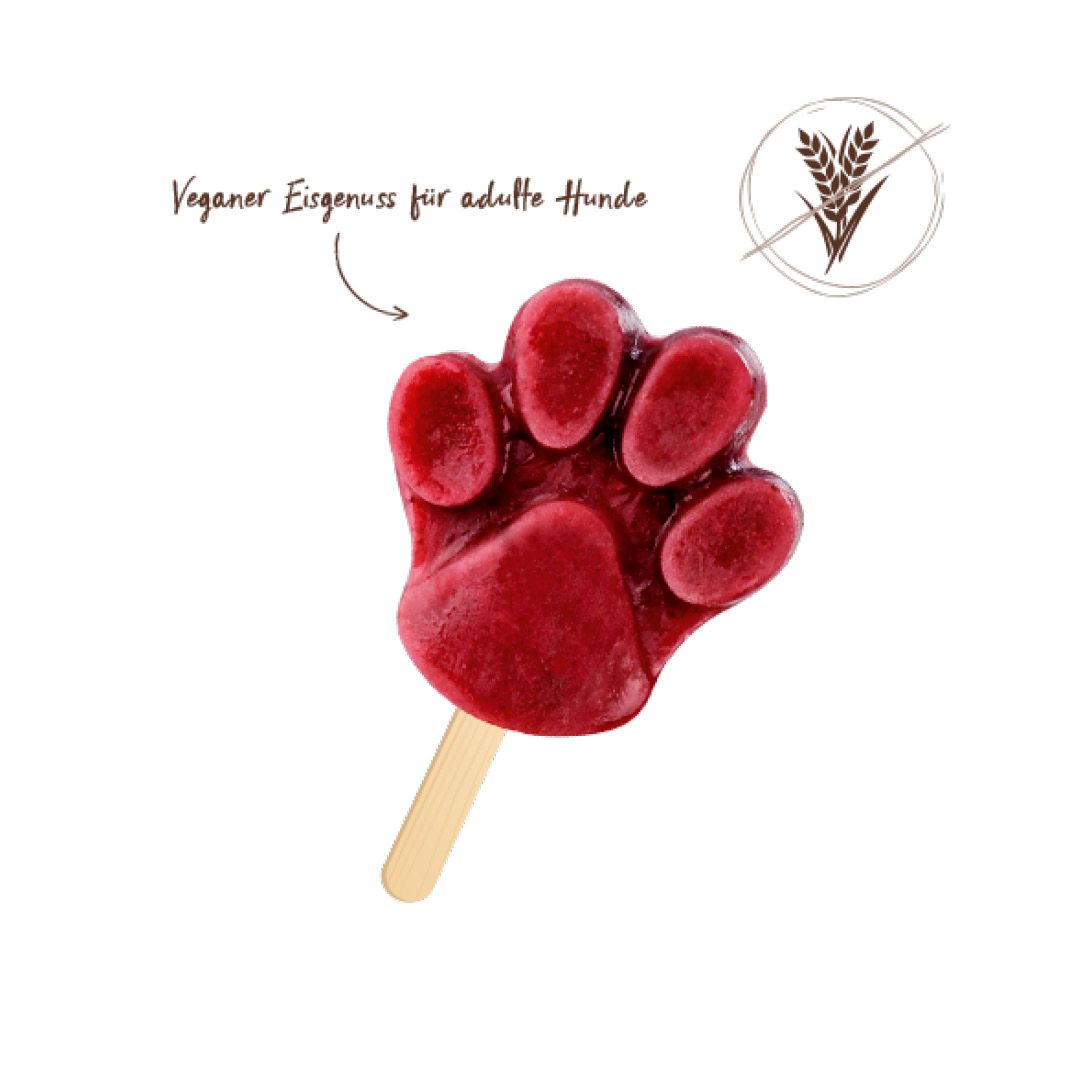 Bosch Freshe Schnauze - Aktionspaket Sommer | 4 x 200 g