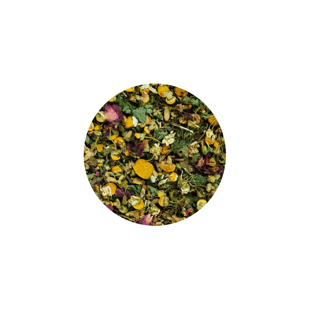 Terra Canis Pudelwohl | 60 g