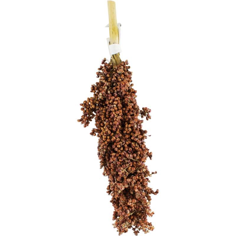 JR Birds Dari-Kolben | 100 g