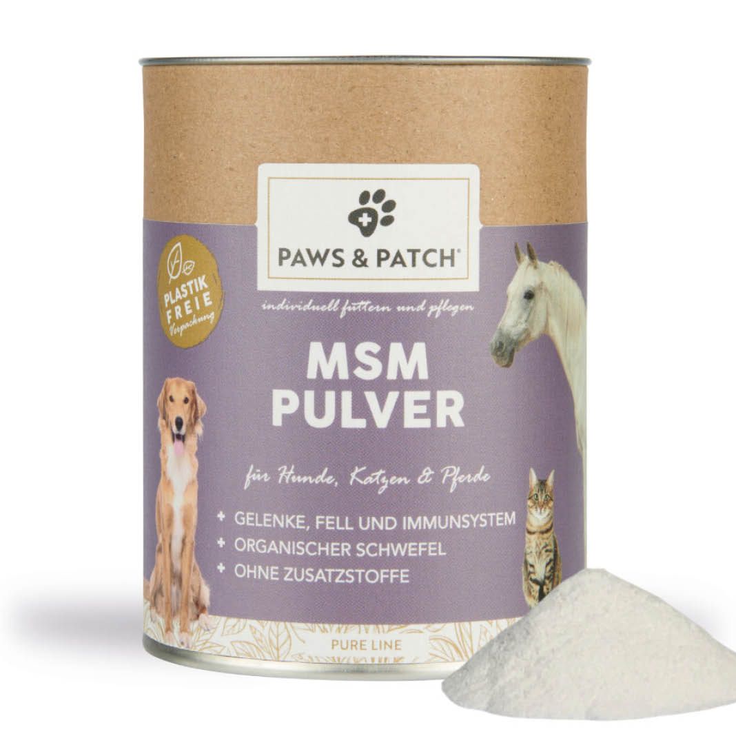 Paws & Patch MSM Pulver für Hunde, Katzen und Pferde | 250 g