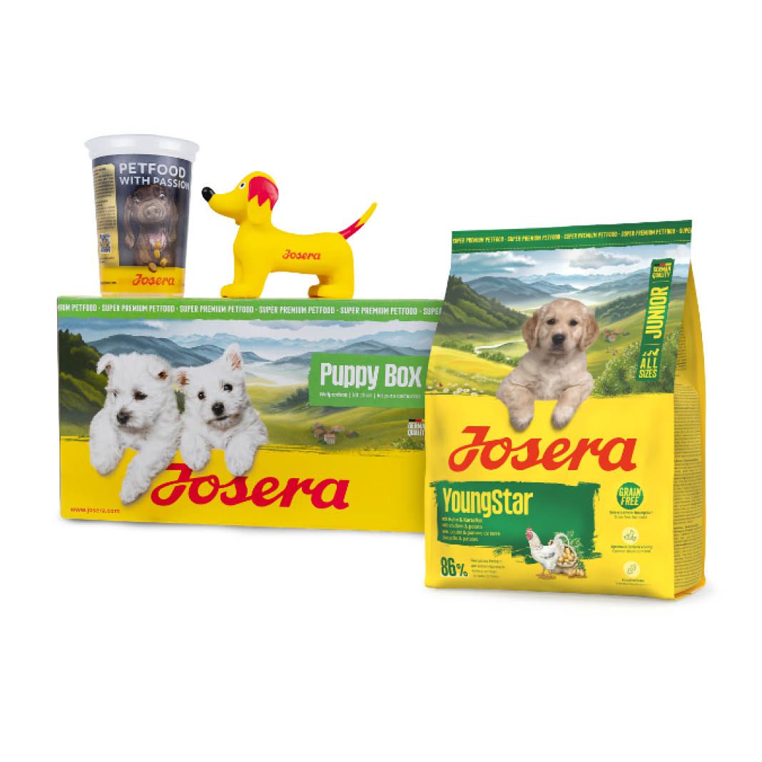 Josera Puppy Box YoungStar | 1,3 kg