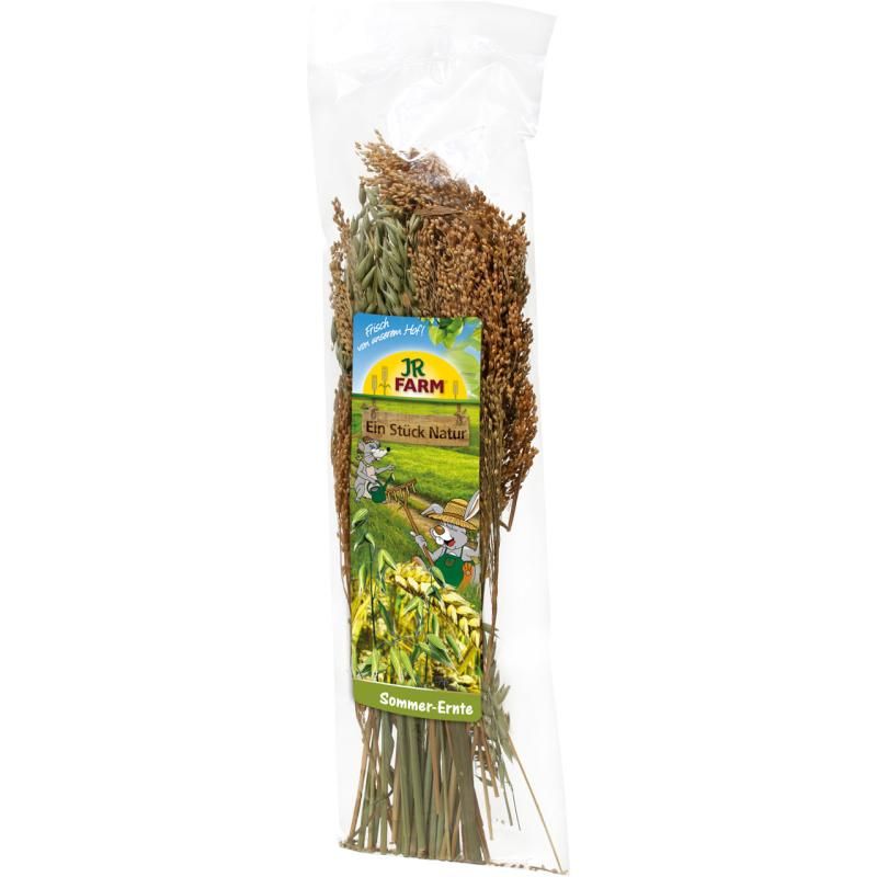 JR Farm ESN Sommer-Ernte | 10 x 80 g