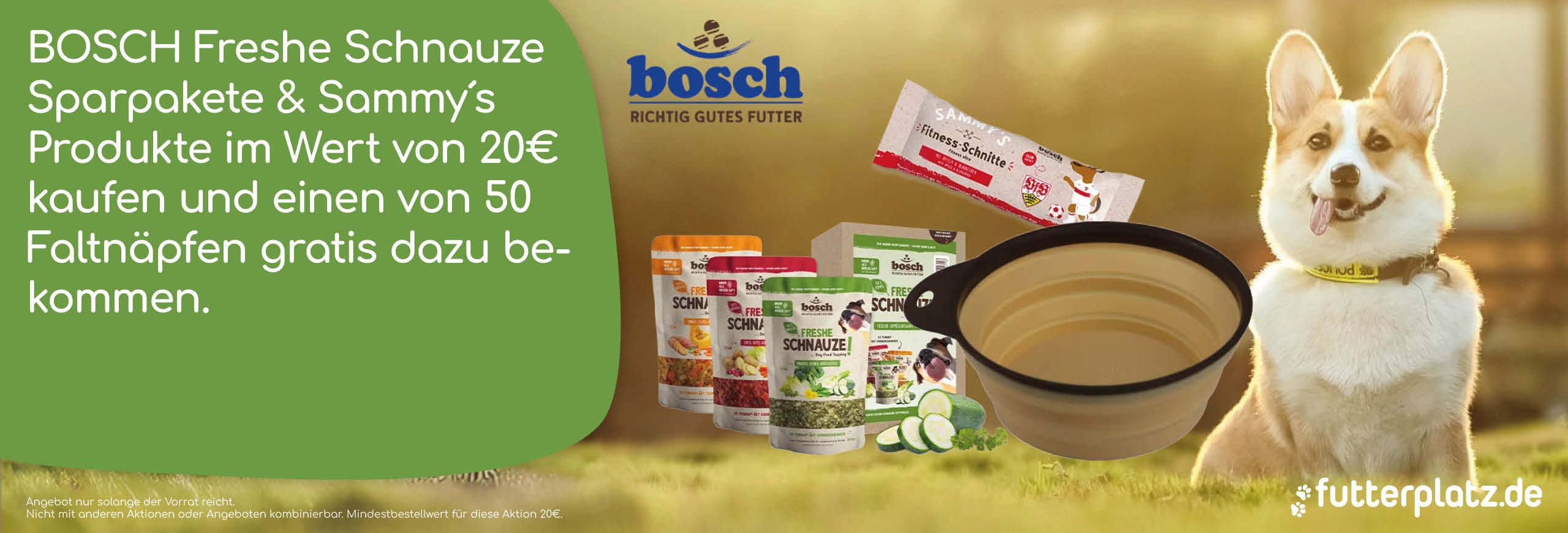 Bosch